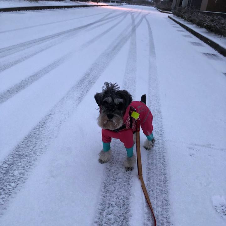 A99e4935 7b56 4a6b ace4 cc77e061ea50 1580945622592