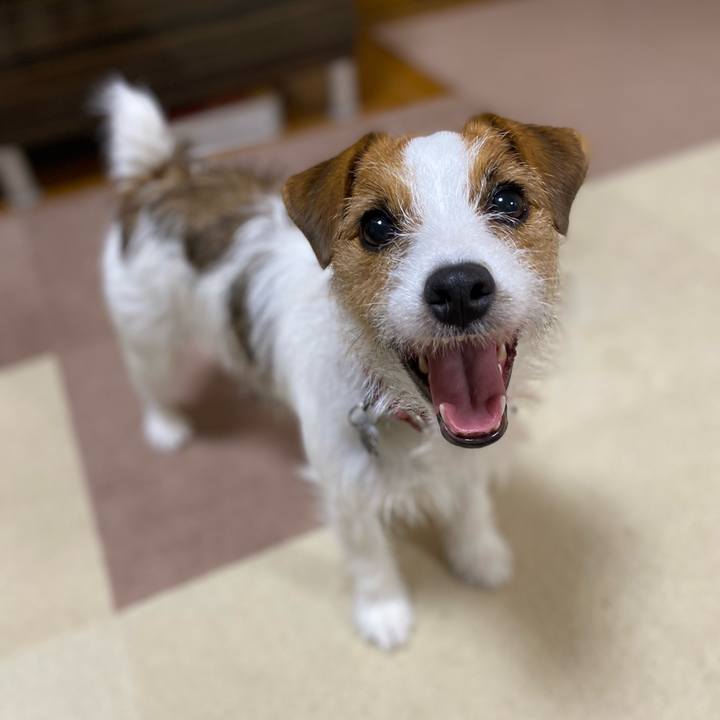 A99e5e0c 31e1 42bb b843 92b40549c73d 1658409431022