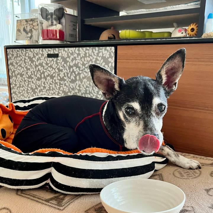 A99e802e 3dff 4ffc a500 a87d35620ccb 1646953134749