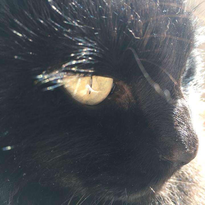 A99e81dd 3902 4480 ae16 5f512ed76fb1 1572353153808