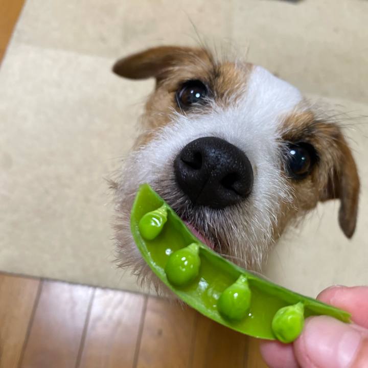 A99eb9a9 0290 493d 9bed 8597e97ec611 1714051655510