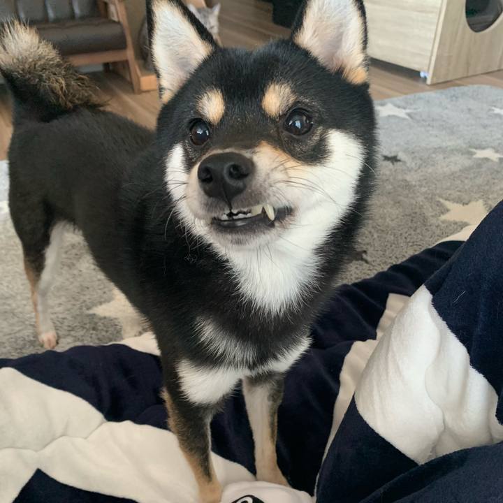 A99ec029 0b71 402a a136 29fa73c88f12 1639528978301