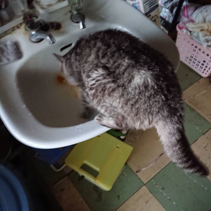 A99ed0aa 805d 48d9 9b71 60ecbbab5fbe 1573163798657