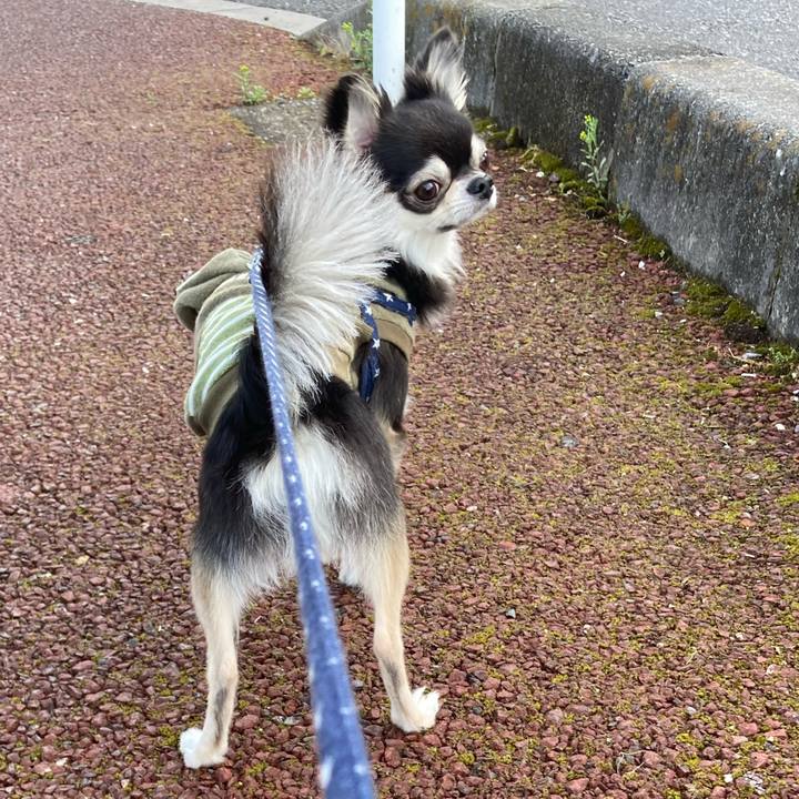 A99f26bf 52ba 4bef a3ec e58426d83594 1647780928427