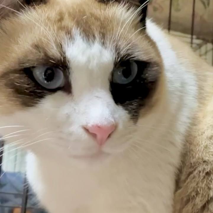 A99f2f72 832b 4e83 9663 2cd67f9bdf01 1733650374360