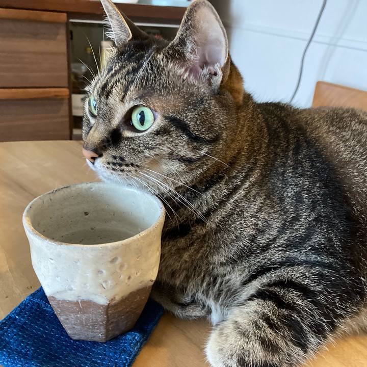 A99f3099 032b 4719 bc50 09670402c4e1 1747012586523