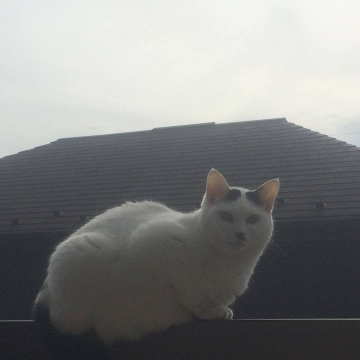 A99f3a19 8fe2 4d2a 98ed 40ec423f6ab3 1552217790878