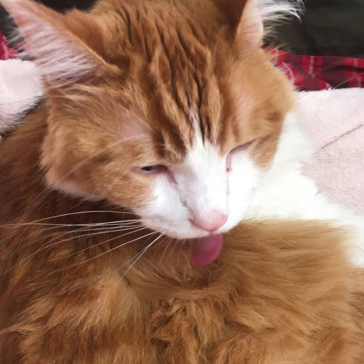 A99f3a5f fe4f 43a0 8870 7bd26302812e 1539328489474