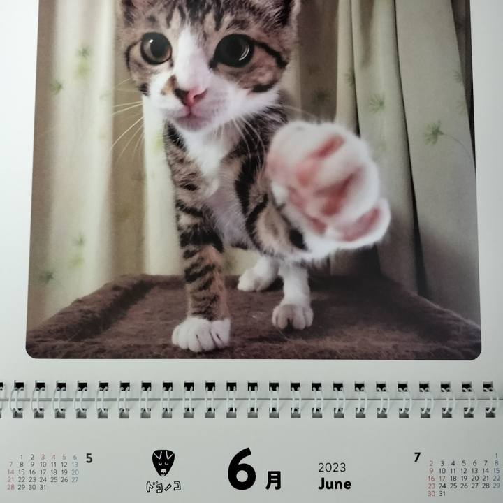 A99f3b40 fbf1 44bf 8ad8 e147db9ffdfc 1685570903838