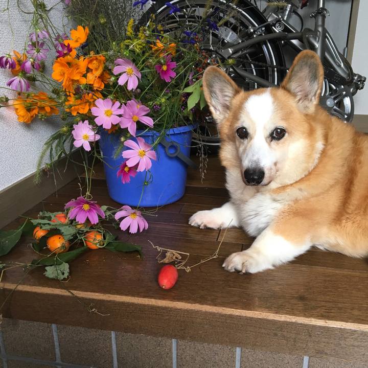 A99f3eea f8a1 4eed b44d 60f1d893487b 1540693940290