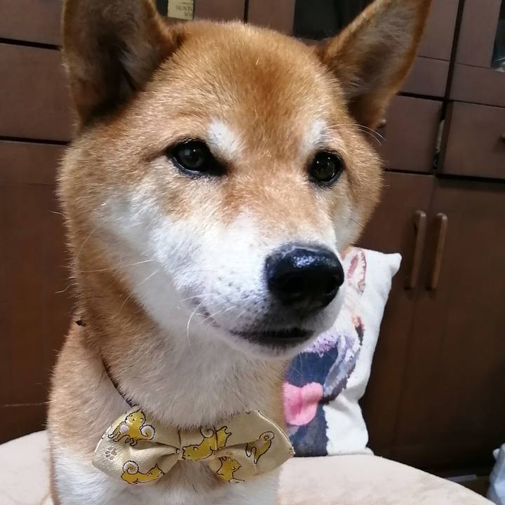 A99f3ffa 4597 46e8 98d3 c5a9a355ede5 1595655764313