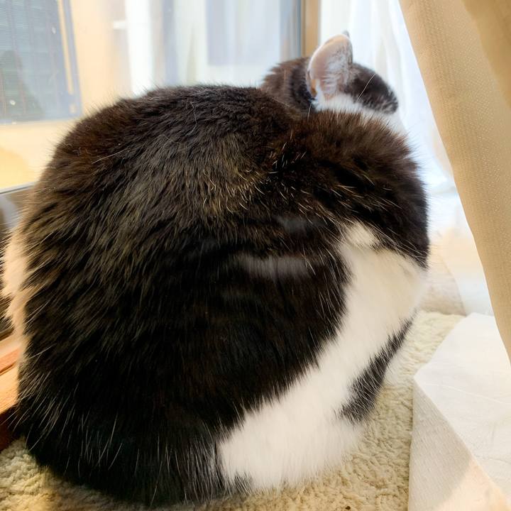 A99f672b f5f7 4898 b54c 574c41366a77 1586743015897