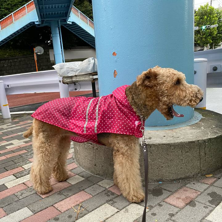 A99f8200 d3e2 43f0 a967 0ce04dad57d4 1628841802771