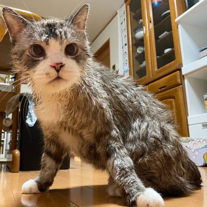 A99fc58b 8992 404b ade7 14bfd9baf986 1600695064640