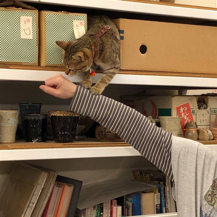 A99fe62d a3ee 4580 b24c 5f1e6e6deb93 1585376231918