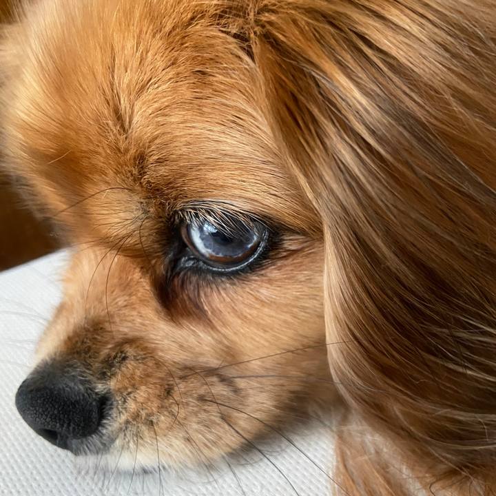 A99ff33b d161 4b39 935e 600b0291eff6 1653095553155