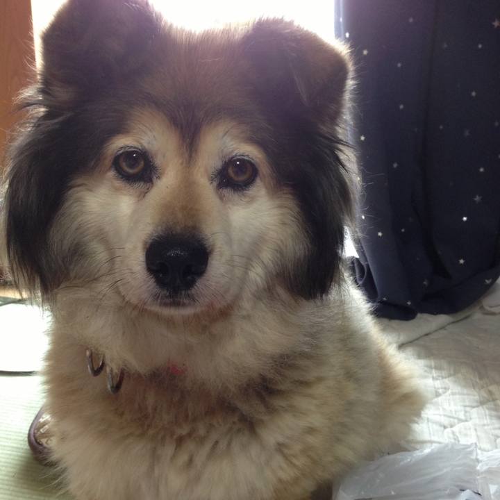 A9a00696 4cec 4a54 813a 5f5ce8fce324 1651299190488