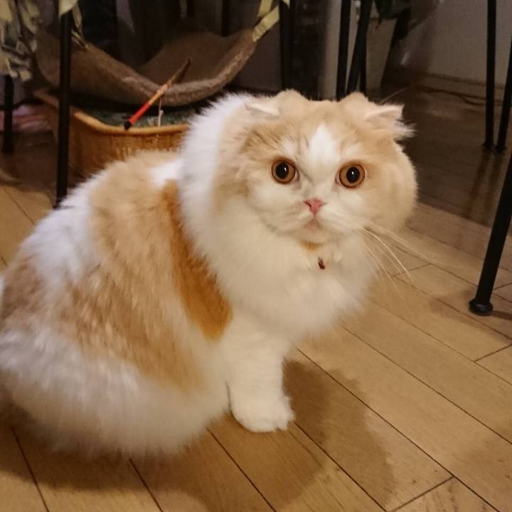 A9a03c89 f7b9 43ac bb2b fc9e911c0fda 1538050911524