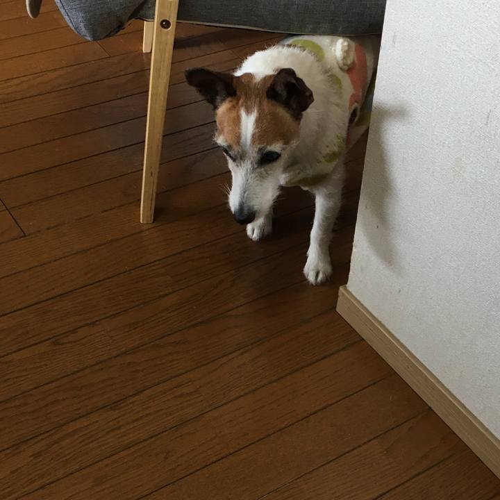 A9a0445d efff 41ef 8b82 52860eef1f11 1615333114297