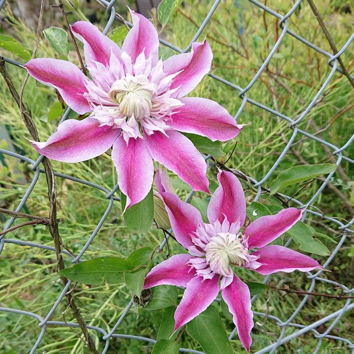 A9a04d73 787b 4841 a10a 8db202d4fa9a 1618240881327