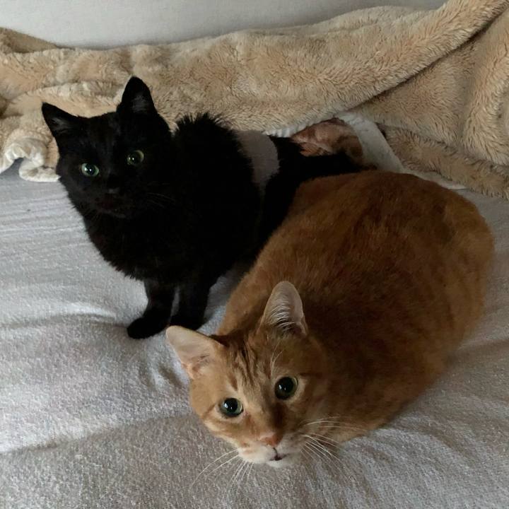 A9a0c1ee 76df 4f56 aef2 06bdf0ab3241 1606426993586