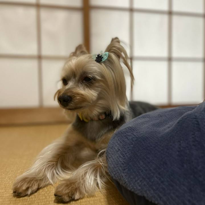 A9a0ccce a8a6 4f88 94fc 1b4b5bbfc5dc 1625610232876