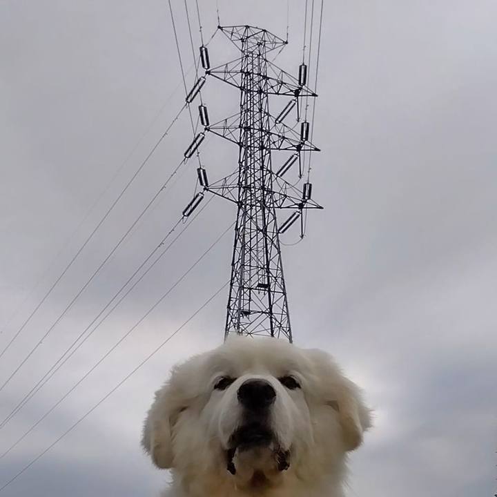 A9a10c7e 3d5d 49c3 84ec cc65d083df2c 1683549997842