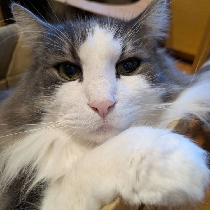 A9a111ed fdad 477d a1e4 46ae33d4d19b 1762516071117