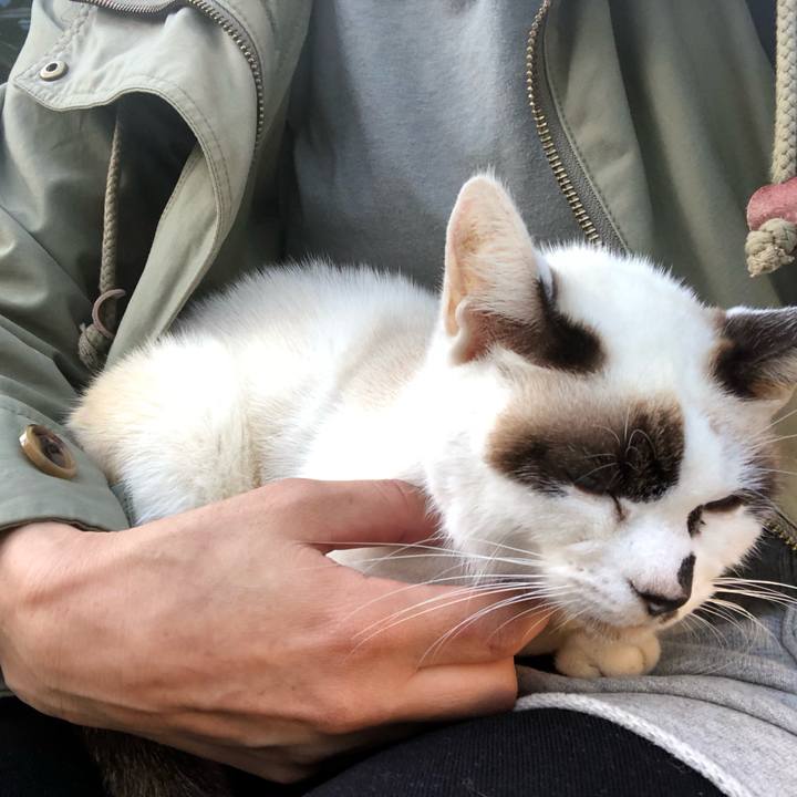 A9a120da e185 4400 b4b8 9053fbb3ee94 1638014630566