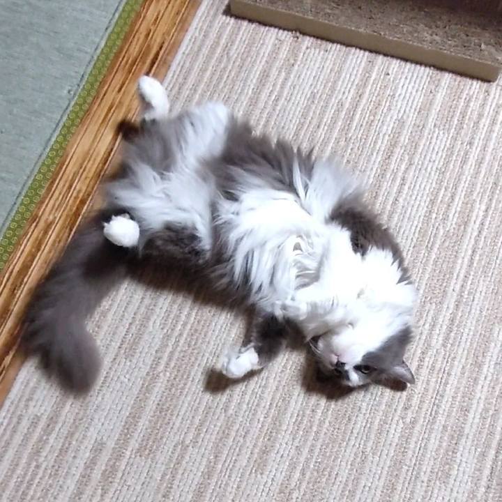 A9a17cfd 48a7 4d92 aff2 e82b1a380afe 1693565302033