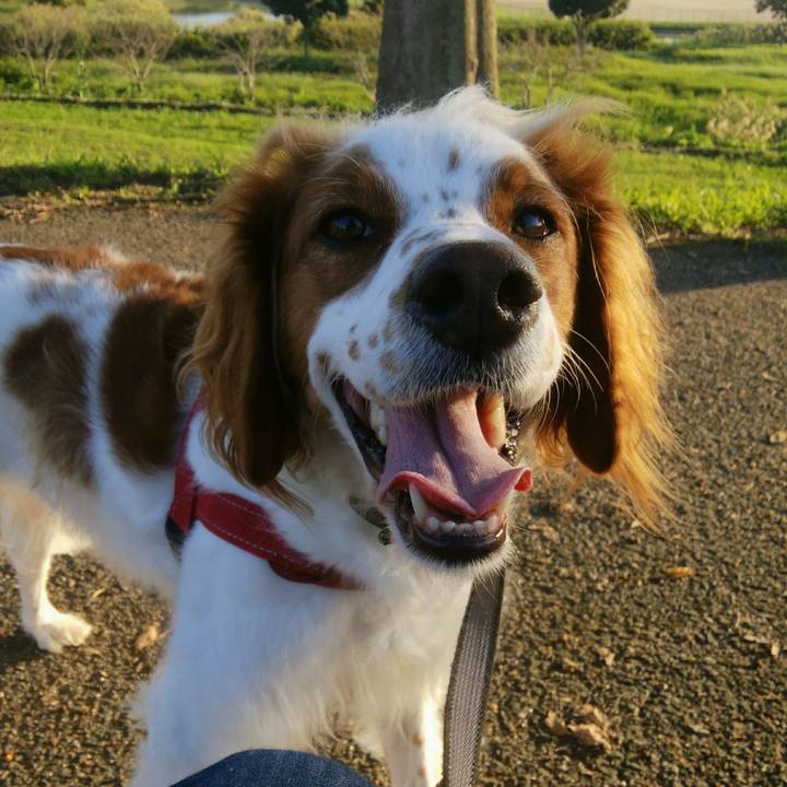 A9a1b1b0 5d01 435f a265 1cbfd119bb3d 1538134627994