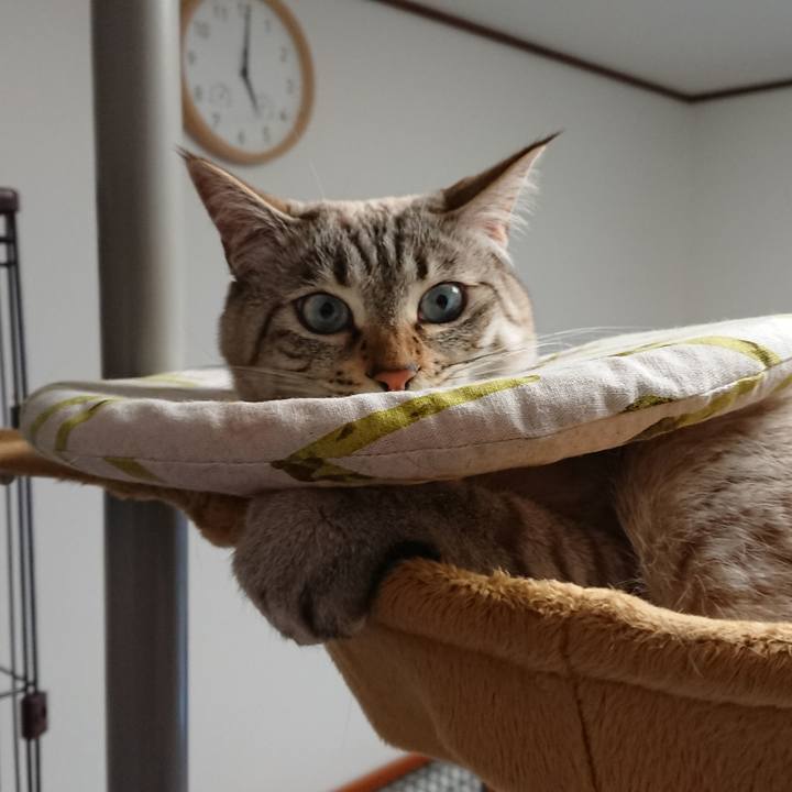 A9a1c390 9cb0 4e39 8dc3 cb0fa0bf11fb 1518336165695