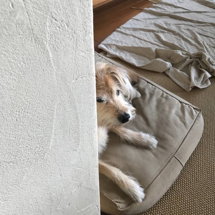 A9a1c48c d31b 418a bbea f0e1ea655209 1577414680573