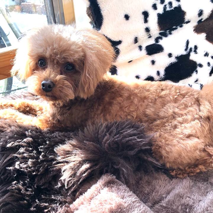 A9a1d962 b56d 46fc 9c67 51c4eb2d18a9 1614387409902