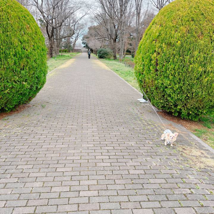 A9a1e7d2 4abd 4a07 834f c36a29e035a7 1647682324359