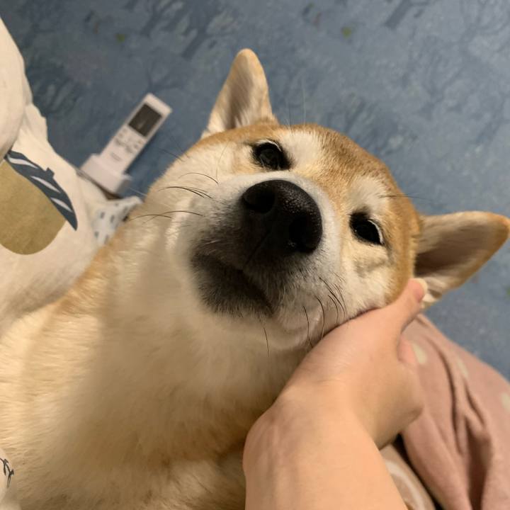 A9a1eebc 2062 41b4 8027 34aedc6e44be 1616074411312