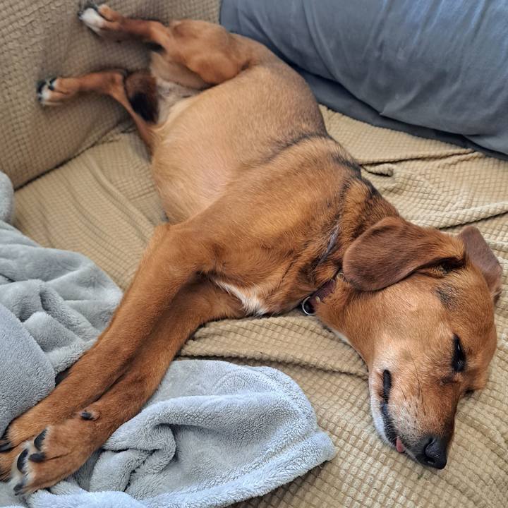 A9a23c38 4ca5 4c58 9bf9 518214cf759c 1774922266914