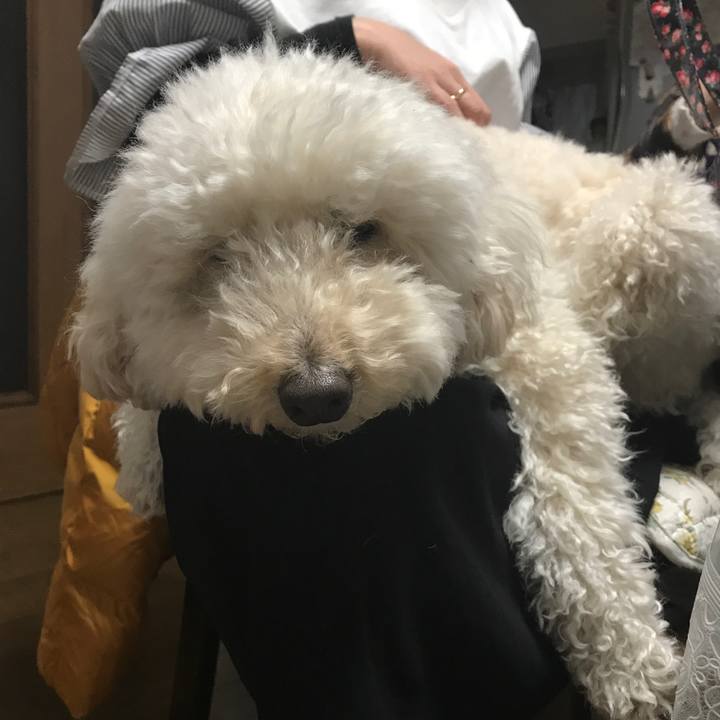 A9a25cbd 1caf 43fb 9db9 1fc8d8d1d707 1553486204744