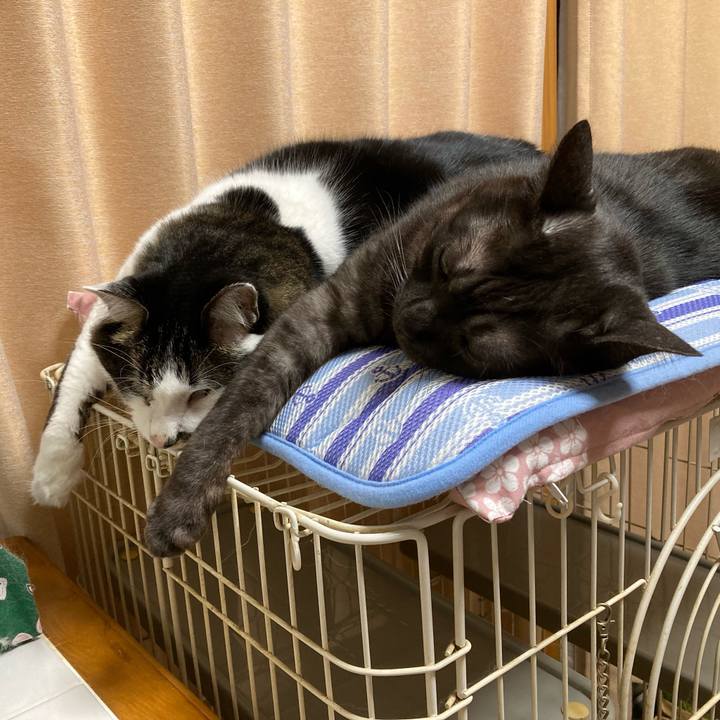 A9a27e33 bdcc 49ea bc2c d8f8b40e9739 1706742493831