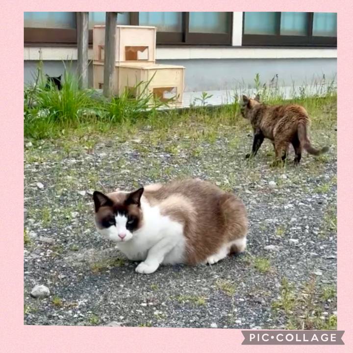 A9a2b6ac 94d3 4d36 981f 90be8fbe4611 1747207501846