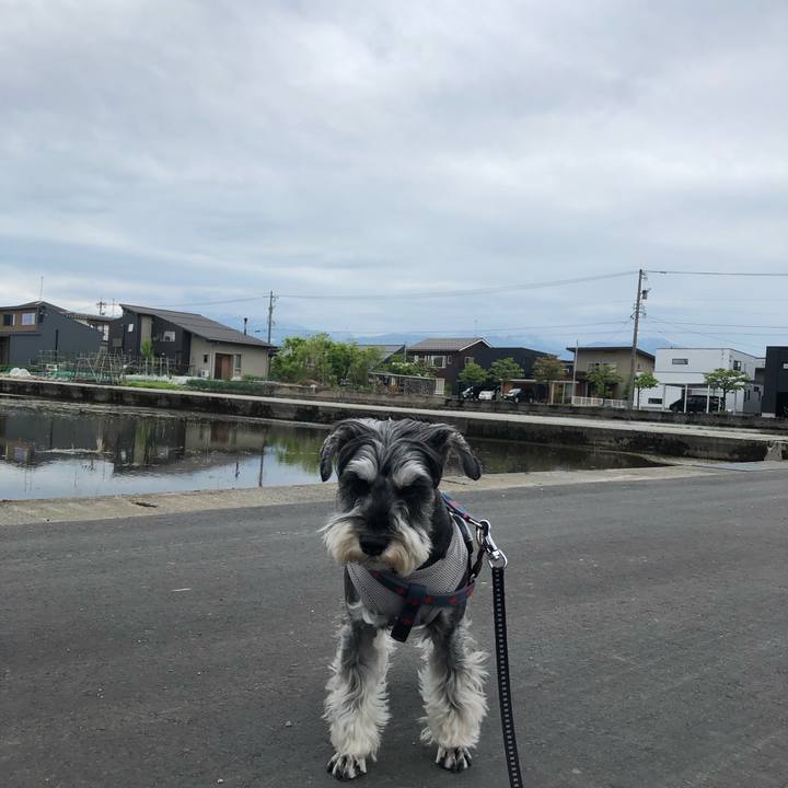 A9a2d7ac c6a5 4471 b1a0 238b13c1ad8c 1651911165765