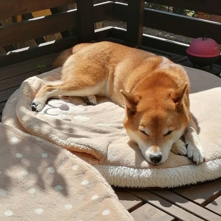 A9a2e5b0 6f5d 41ad ad5e 59f786e8f14c 1647316691684