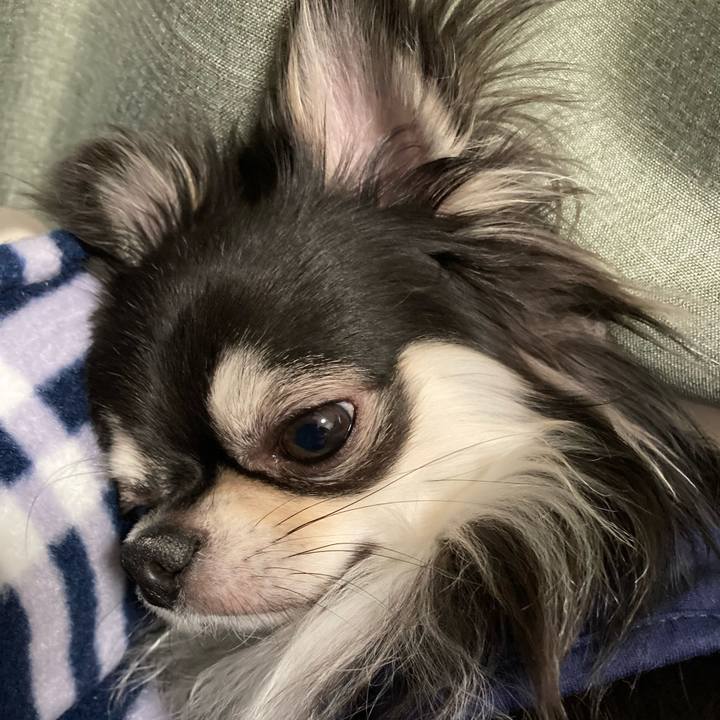 A9a2f1d3 d8a0 48cb ac53 4cfaea0f87fe 1616902419105