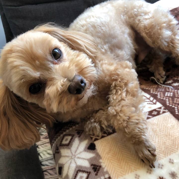 A9a3190e 20e4 45ed 9d2a d8b905abf8c7 1613465325495