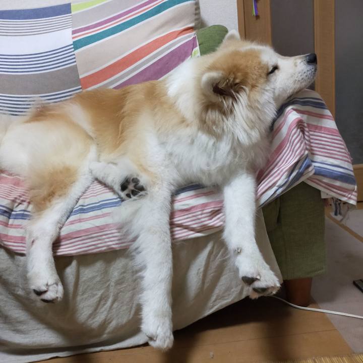 A9a320e7 5448 42f0 bbfc 44c3e053916e 1630506200771