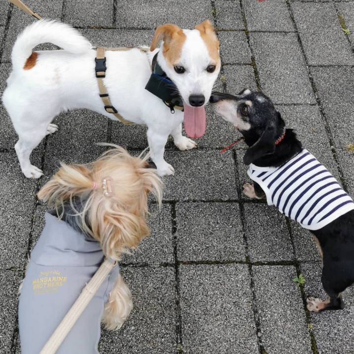 A9a34588 177a 4f36 ab0c 1bb93dcca349 1623157302760