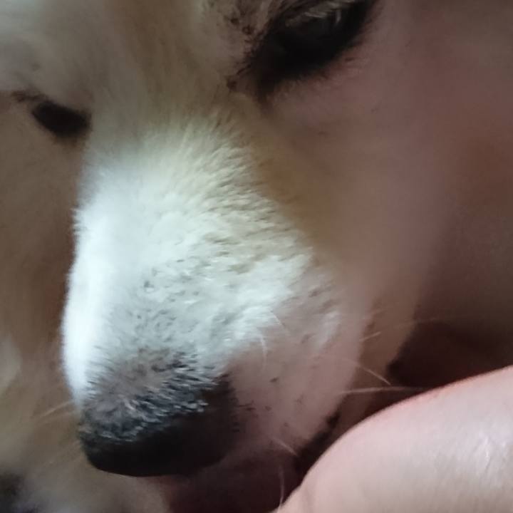 A9a36a84 1514 4ab5 b6c1 8ba5c4bfa5a1 1529581960497