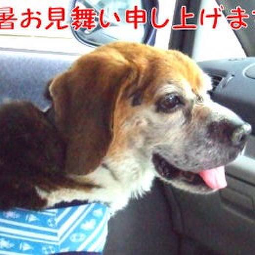 A9a36e91 dfaf 4284 9f6a 894fbd69c827 1691883968127