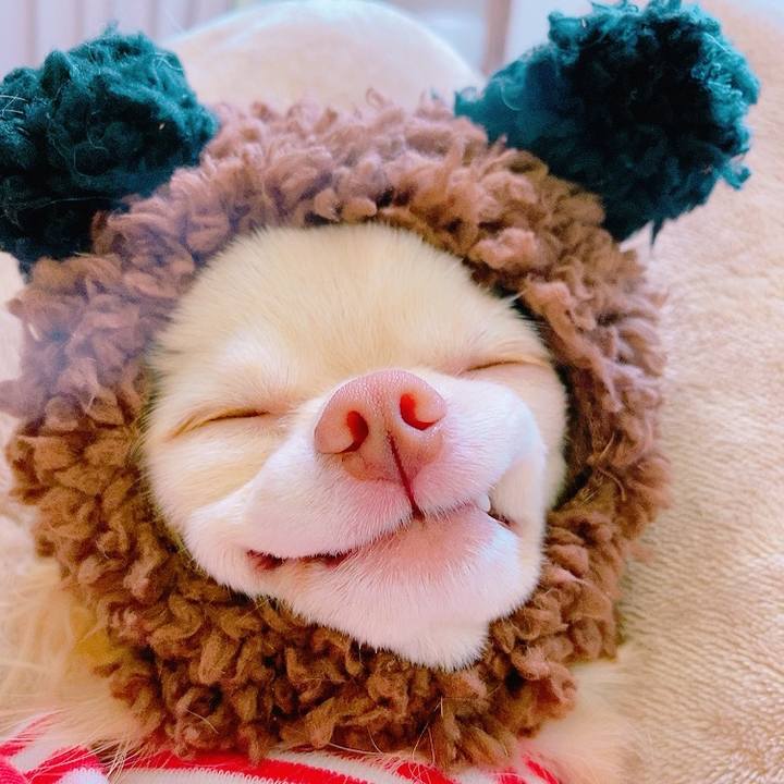 A9a37a4d 6efd 4747 9082 50e1a506045f 1635602162119