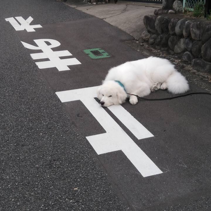 A9a3f3f5 8f43 404d b294 3506c086ca6d 1695168230692